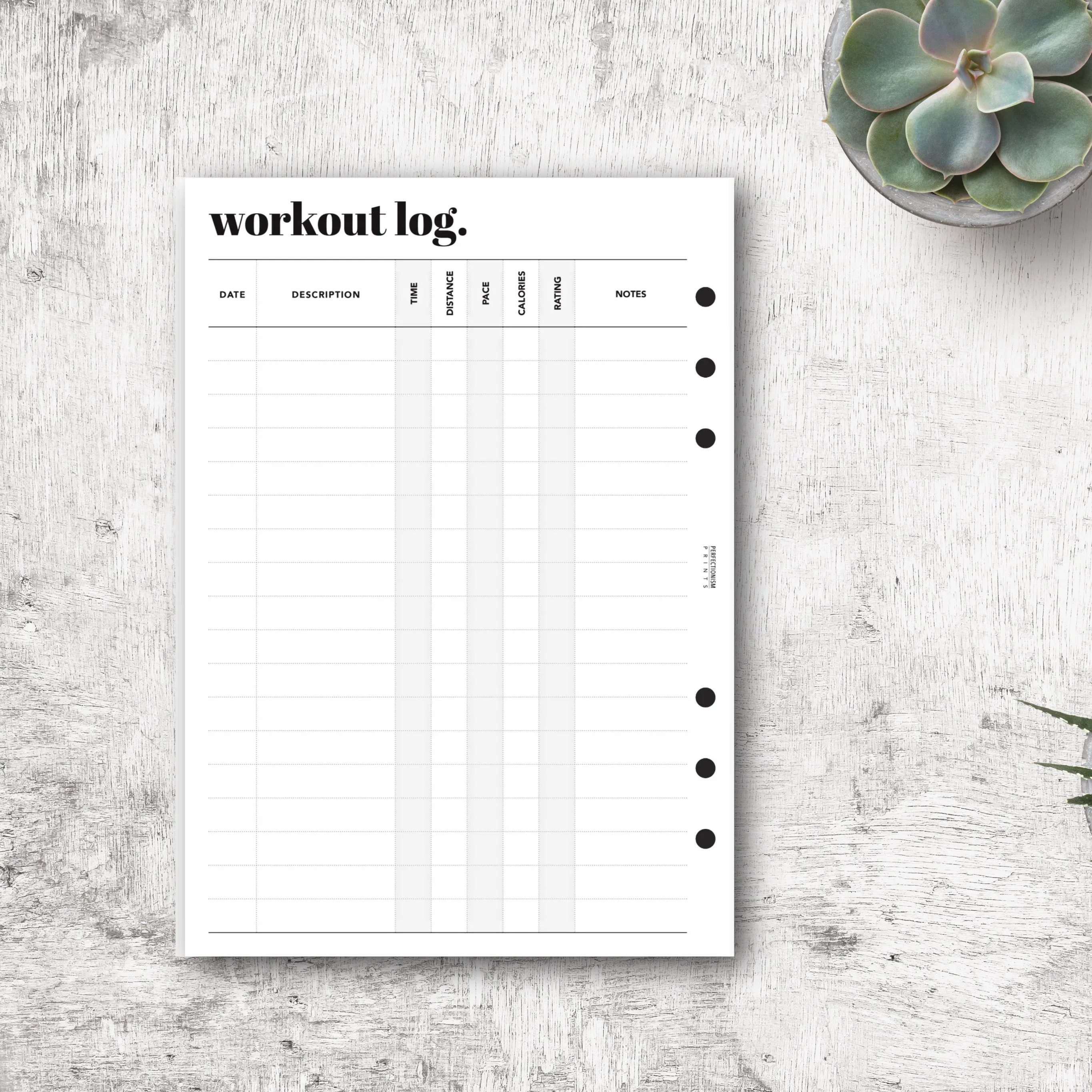 Fitness Bundle