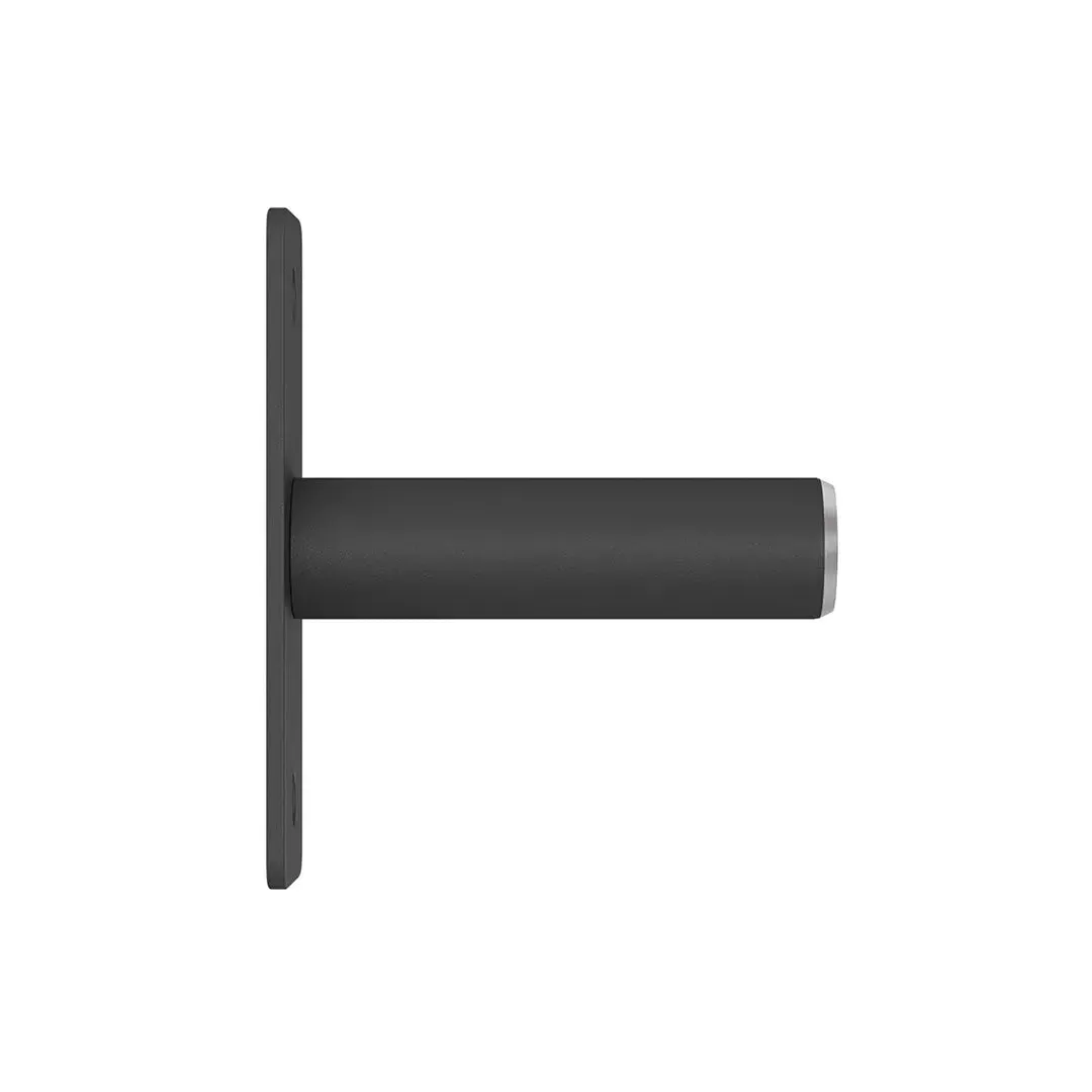 Weight Storage Pins