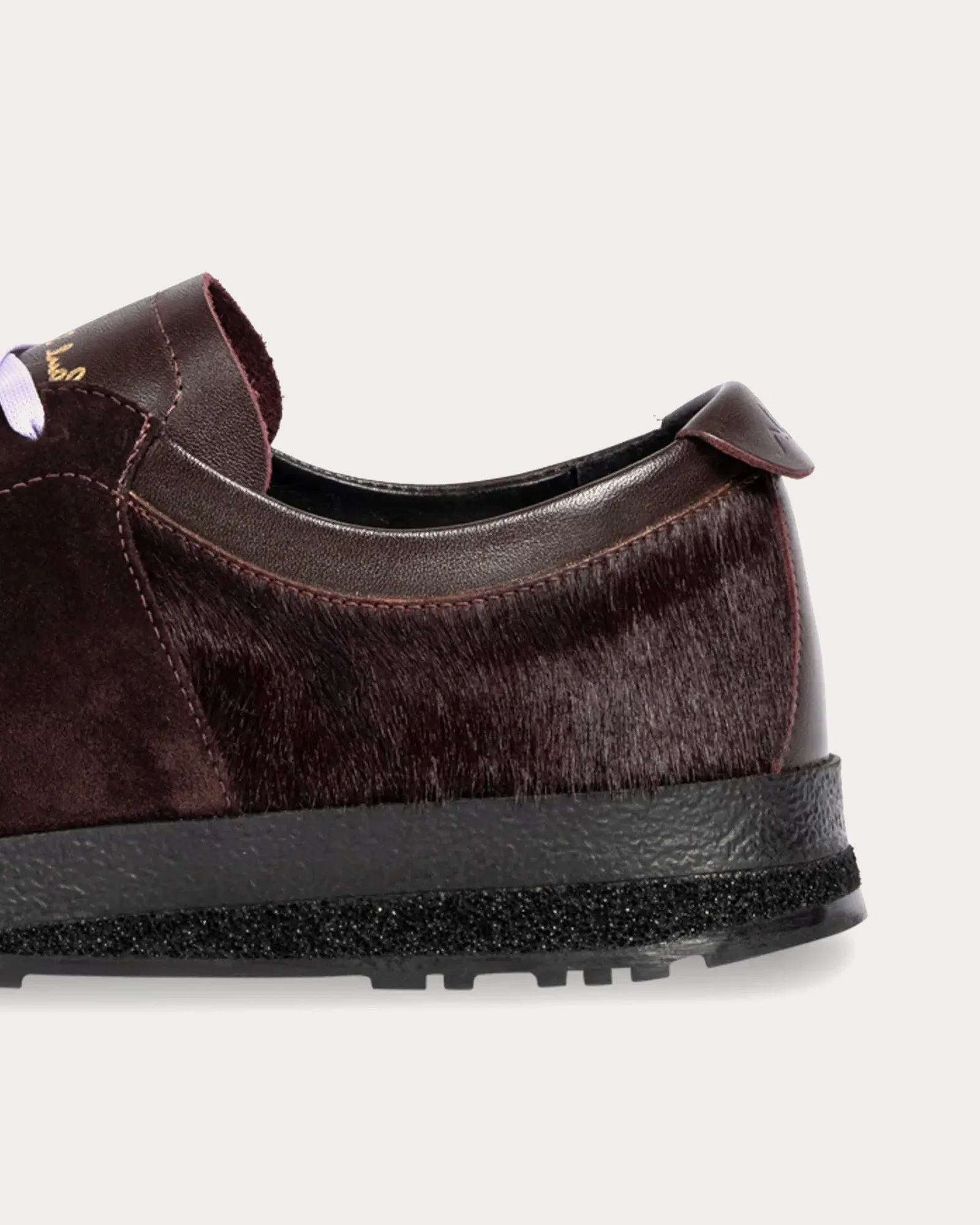 Zephyr Leather Aubergine Low Top Sneakers