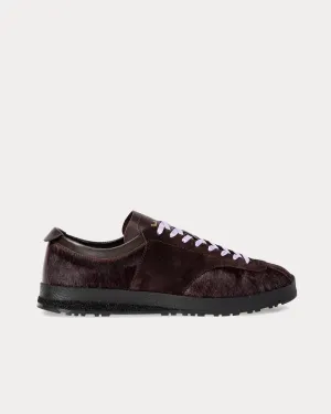 Zephyr Leather Aubergine Low Top Sneakers